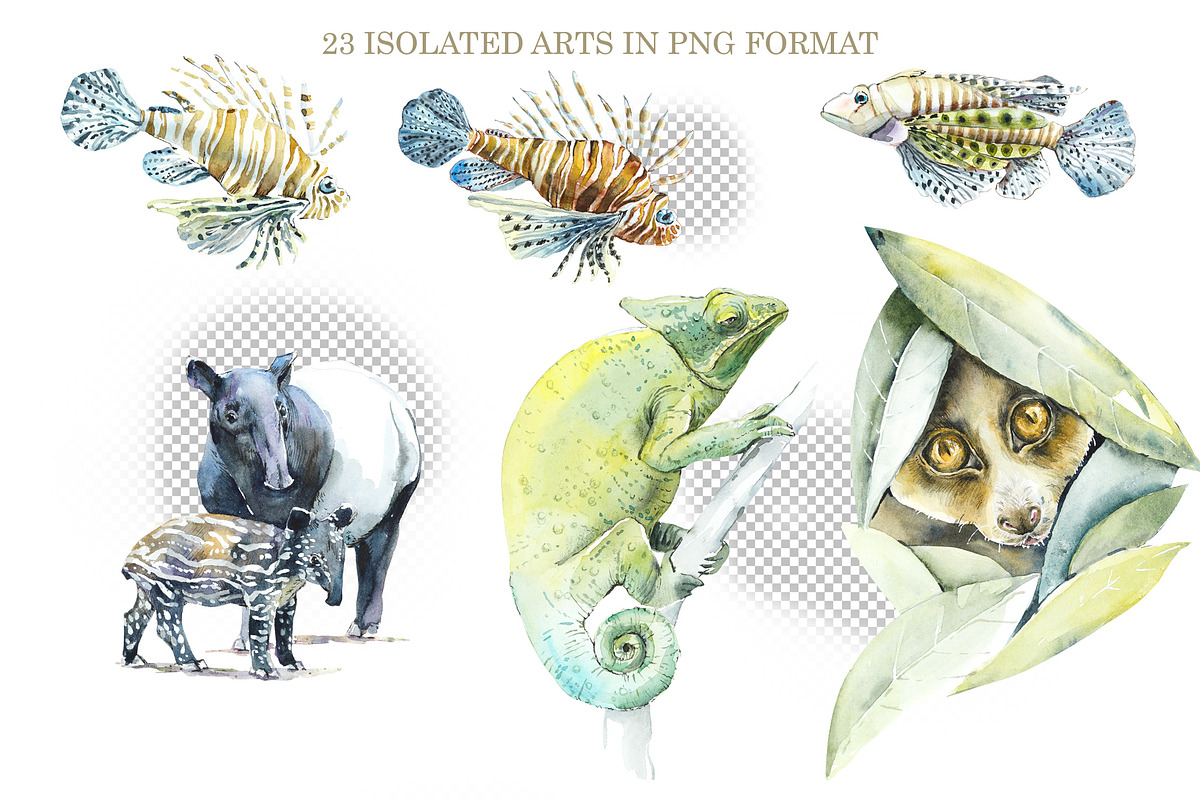 Watercolor Wild Animals, an Animal Illustration by Budogoshch (Photo 3 of 5)