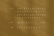 Bember Elegant Serif Font, a Serif Font by Graphicxell (Thumbnail 7 of 8)