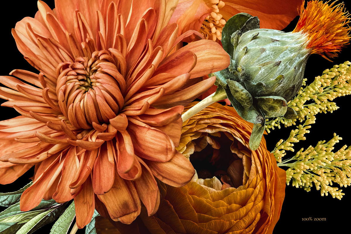 Sunset Floral Art Collection, an Object Graphic by Eclectic Anthology (Photo 19 of 20)