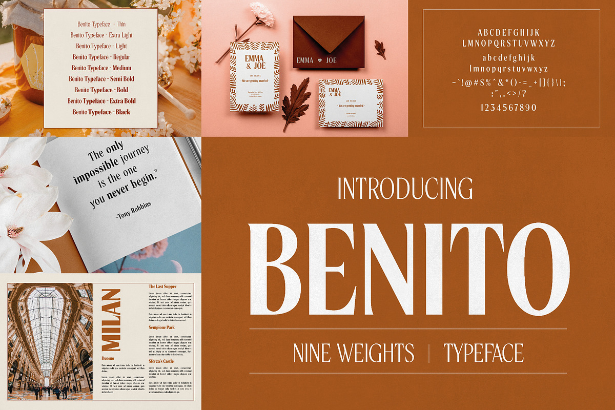 Whiskey Label Font Bundle 160 Fonts, a Font by HipFonts (Photo 5 of 13)