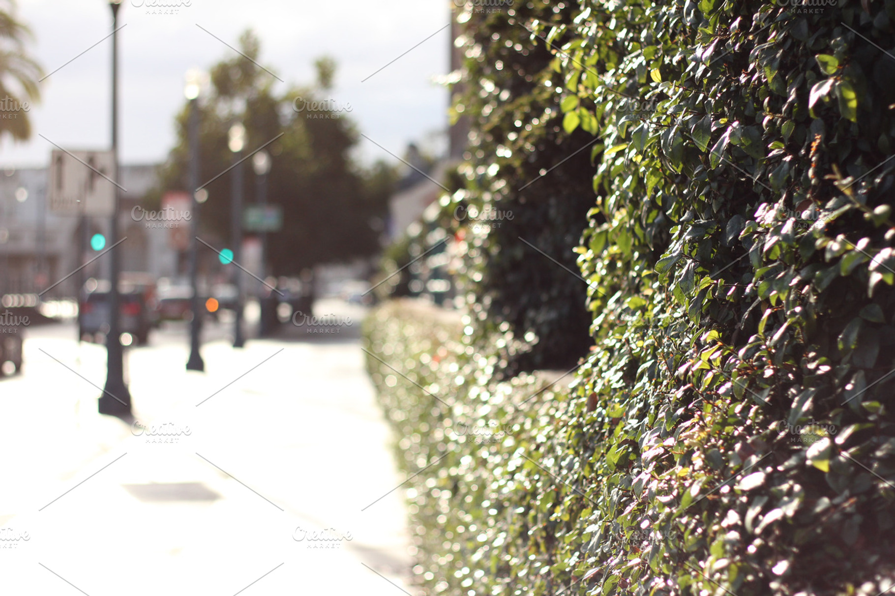 San Francisco Sidewalk