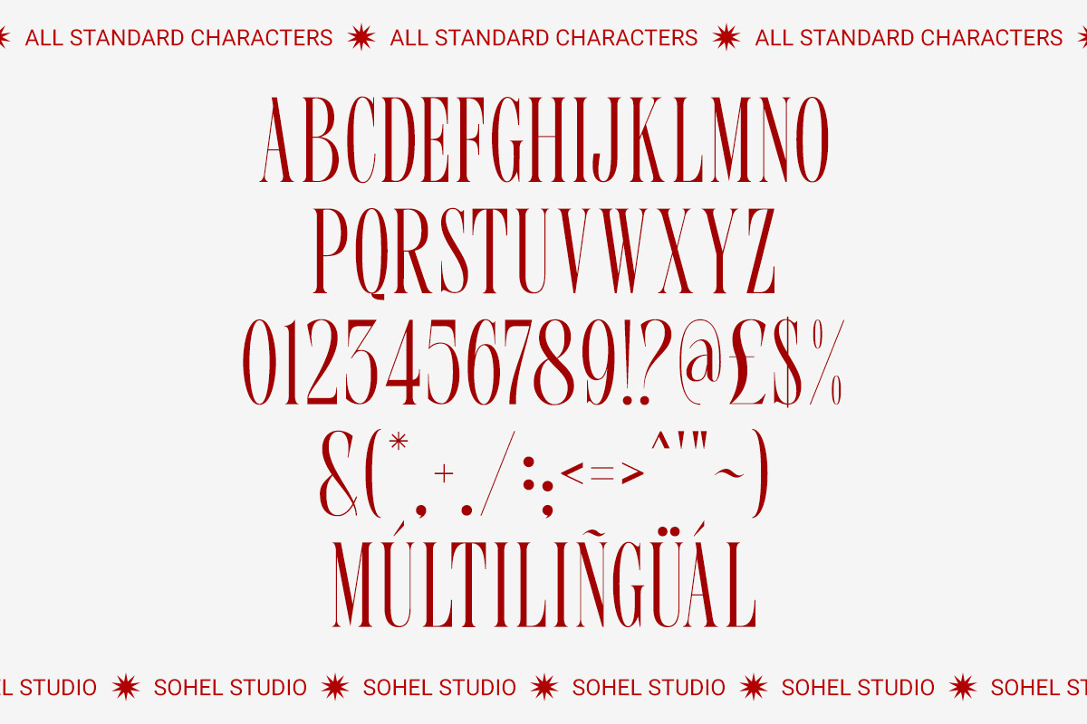 Bergu – Editorial Display Serif, a Serif Font by Sohel Studio (Photo 10 of 10)