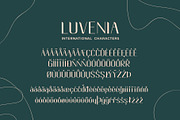 Luvenia sans serif modern, a Sans Serif Font by Missingfont.std (Thumbnail 4 of 12)