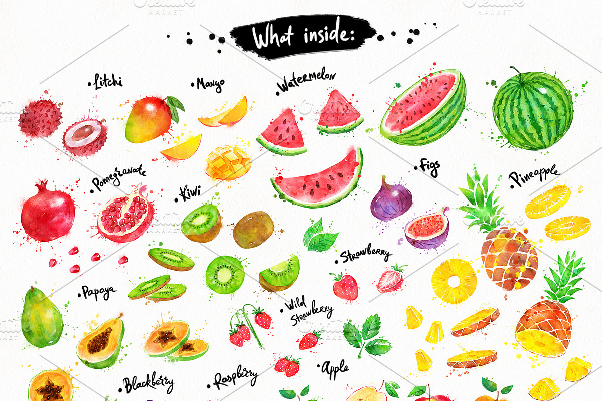 Fruit Watercolor Collection, an Object Graphic by Sonya Illustrations (Photo 5 of 7)