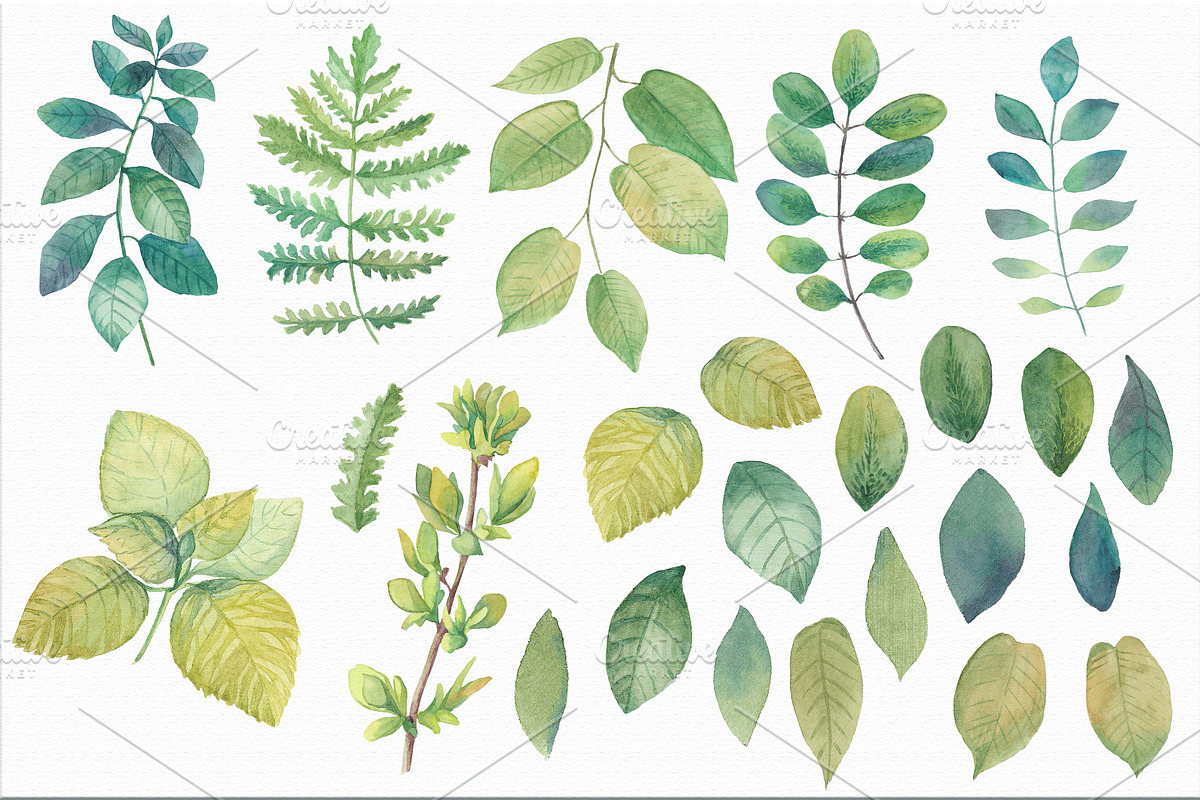 50% OFF Watercolor leaves & branches, an Object Graphic by Irina Diasli (Photo 2 of 2)