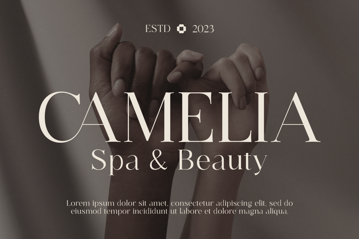 Venesia - A Modern Serif Font, a Serif Font by Marvadesign (Photo 3 of 5)