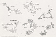 Birth Month Zodiac Constellations, an Illustration by IllustratorAnnie (Thumbnail 4 of 5)