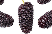 All Fruits Bundle Master Collection, a Food & Drink Photo by FlyeredTemplate (Thumbnail 20 of 130)