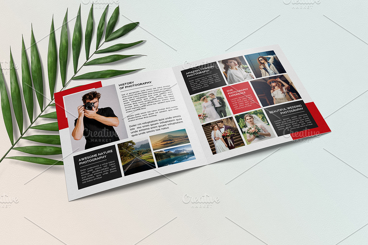 Photography Square Brochure V980, a Brochure Template by Template Shop (Photo 3 of 5)