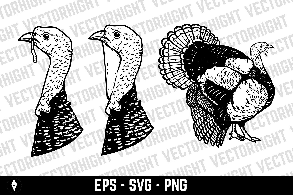Set of illustrations of turkey svg, an Animal Illustration by Vectorhight