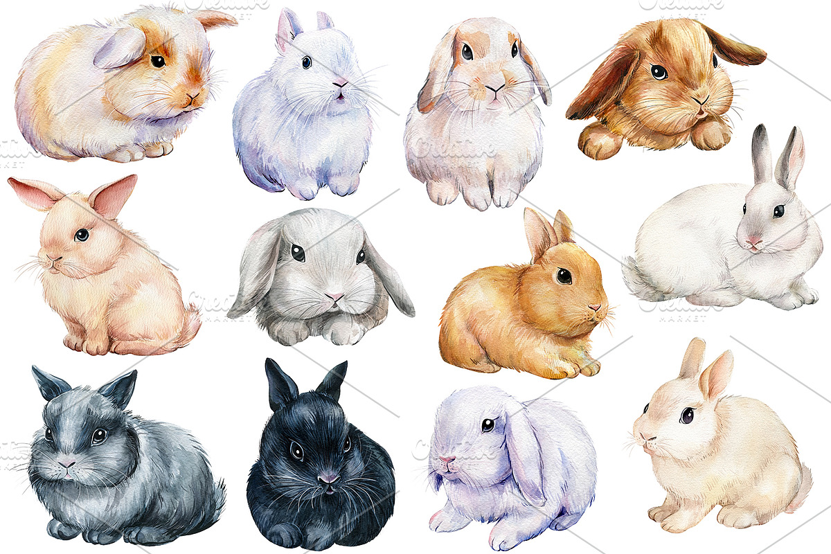 Fluffy bunnies. Watercolor painting, an Animal Illustration by Hanna Hryharenka (Photo 4 of 17)
