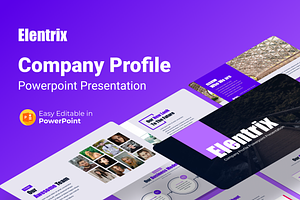 Elentrix Company Profile PPTX