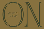 Timesky, a Serif Font by Nathatype (Thumbnail 6 of 11)