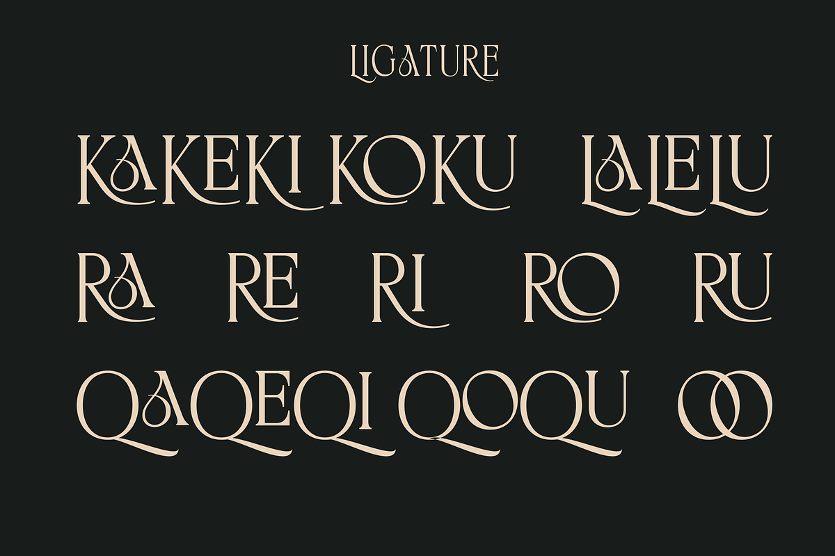 BIKAVE - A Modern Display, a Serif Font by Marvadesign (Photo 4 of 6)