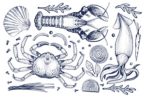 Seafood Vector Collection