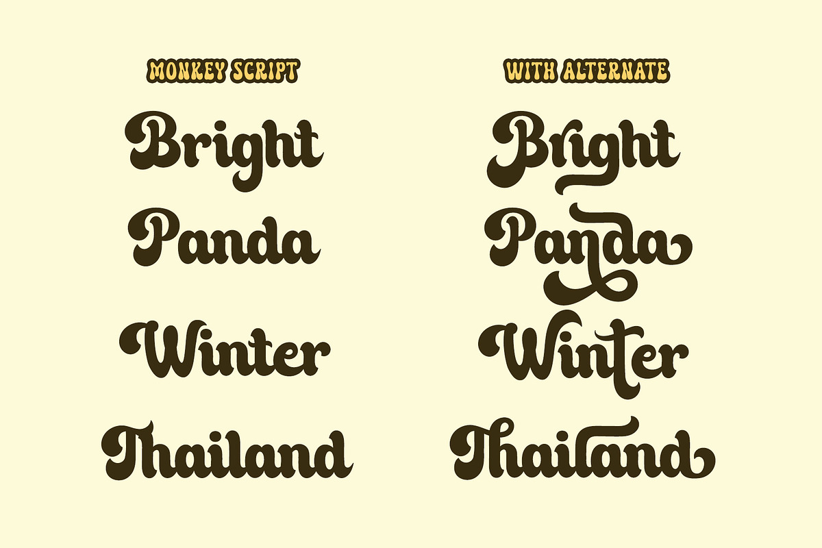 Monkey Script - Groovy Retro Font, a Script Font by Airotype (Photo 2 of 14)