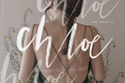 Calligraphy and Lettering Brushes, a Brush Add-On by Darla Studio (Thumbnail 13 of 18)