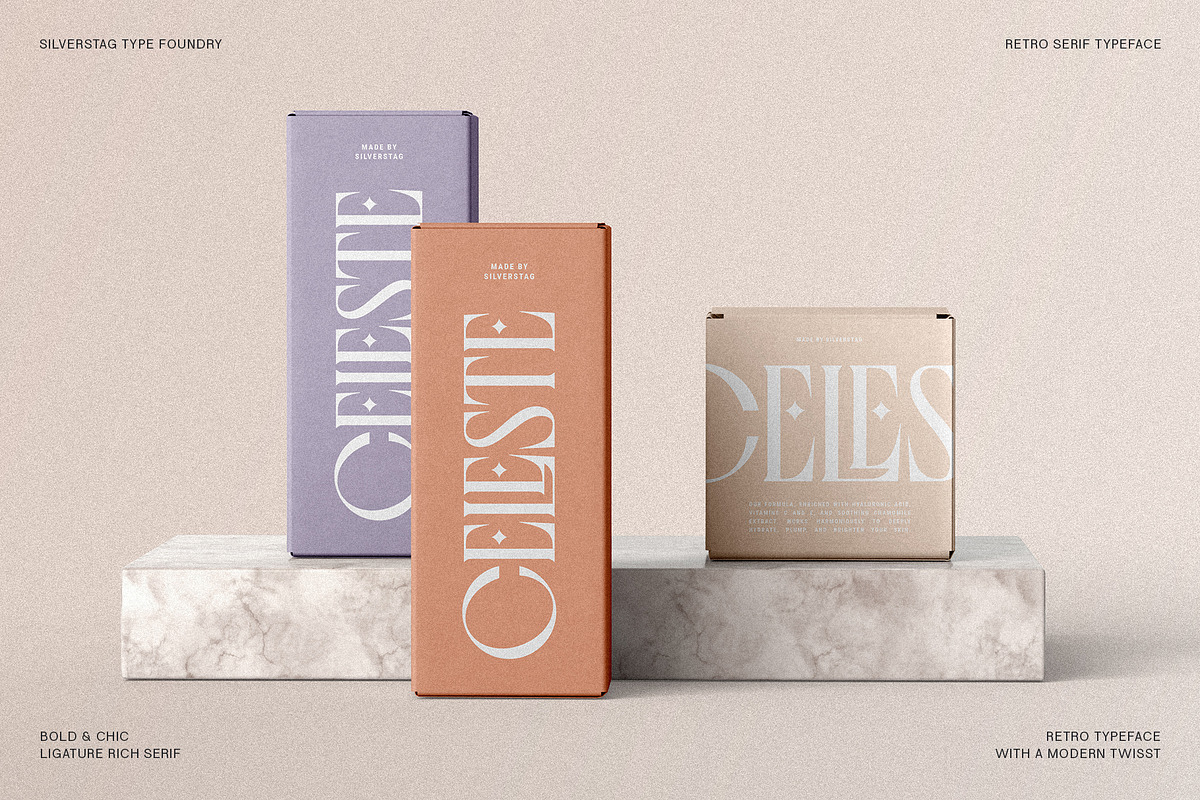 Fragilità - A Retro Ligature Serif, a Serif Font by SilverStag Type Foundry (Photo 2 of 26)