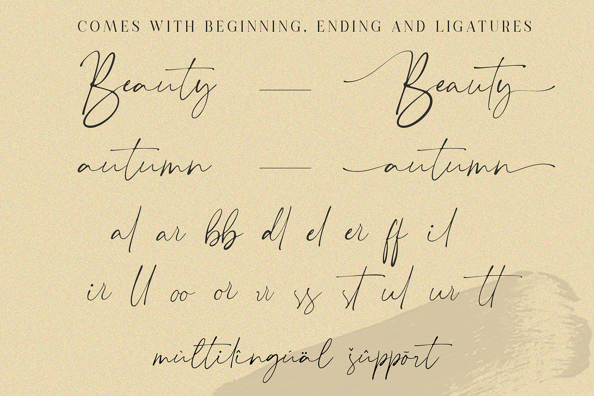 Plumrose Signature Script Font, a Script Font by Typetemp Studio (Photo 7 of 11)