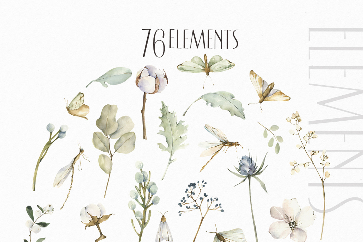 Trendy botany Watercolor collection, an Object Illustration by ArtMaslyana (Photo 3 of 10)
