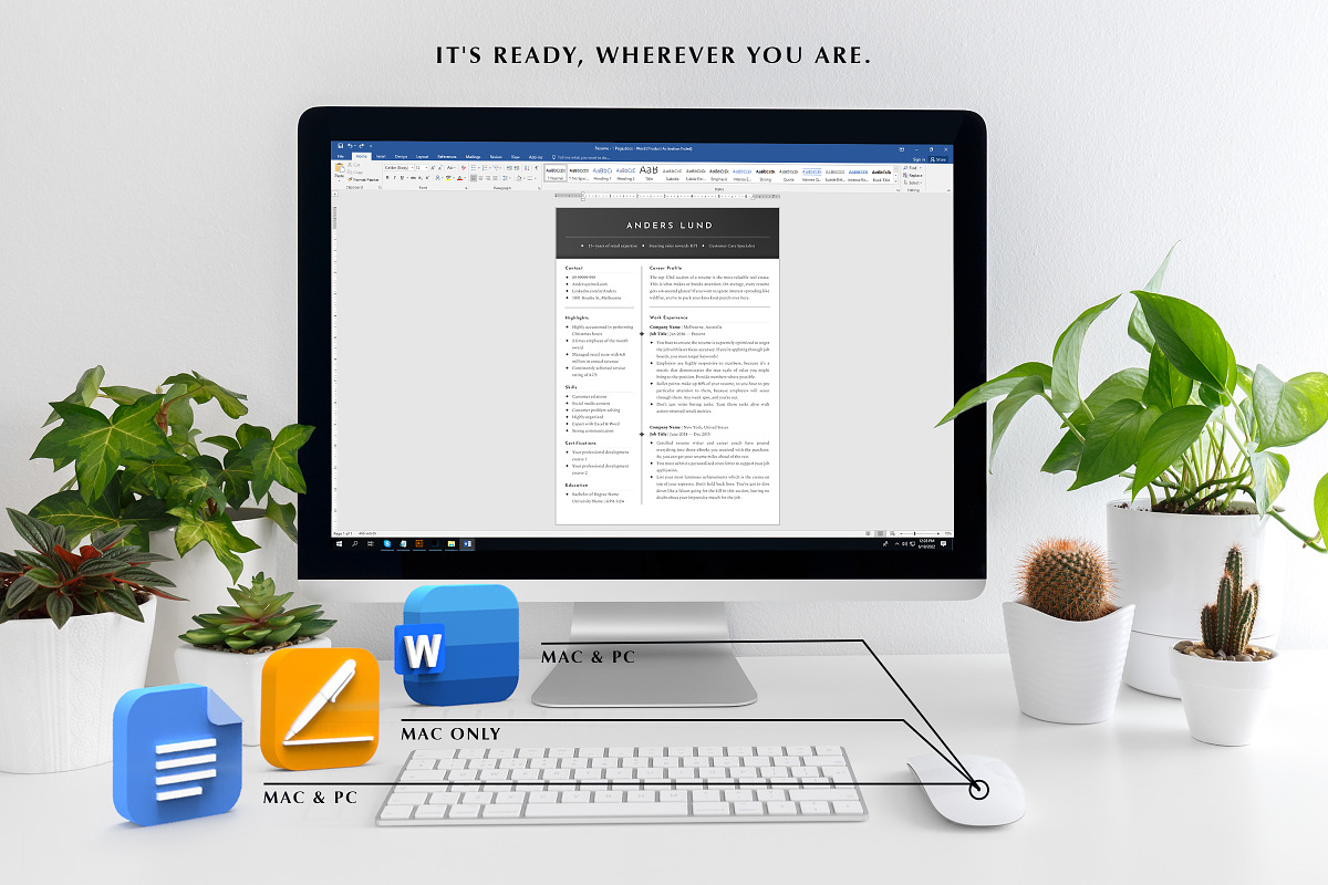 Professional Resume Template Word, a Resume Template by Career Canvas (Photo 9 of 13)