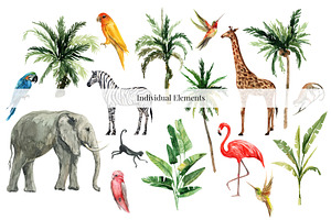 ANIMAL KINGDOM & Animals Patterns