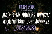 Thorn Shade, a Handwritten Font by BBtypeStudios (Thumbnail 11 of 12)