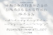 Southland | Modern Calligraphy, a Script Font by MJB Letters (Thumbnail 9 of 10)
