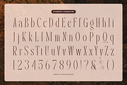 Tebranos | Modern Display Serif, a Serif Font by Denustudios (Thumbnail 11 of 13)