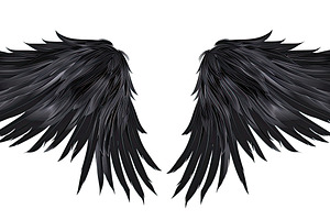 Black Feathered Wings Spread Out , G, a Photo by LOGOCREATIVE