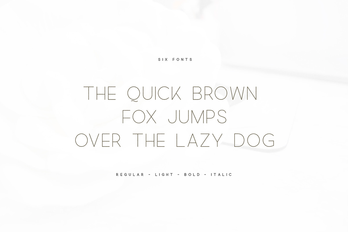 Quick - An Elegant Sans Serif preview 5