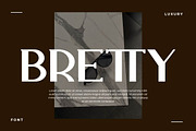 Wiselly Modern Luxury Serif, a Sans Serif Font by Artiveko (Thumbnail 4 of 8)