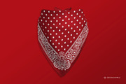 Bandana Mock-up, a Mask Mockup by Branda Keeps (Thumbnail 10 of 17)