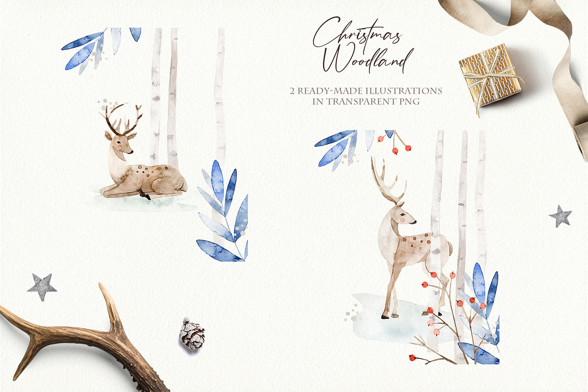 Winter Watercolor Collection, an Animal Illustration by svetsum (Photo 6 of 9)