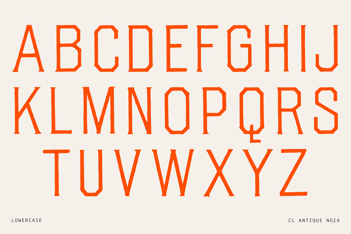 Vintage Tall Sans and Spur Serif, a Sans Serif Font by Century Library (Photo 5 of 5)
