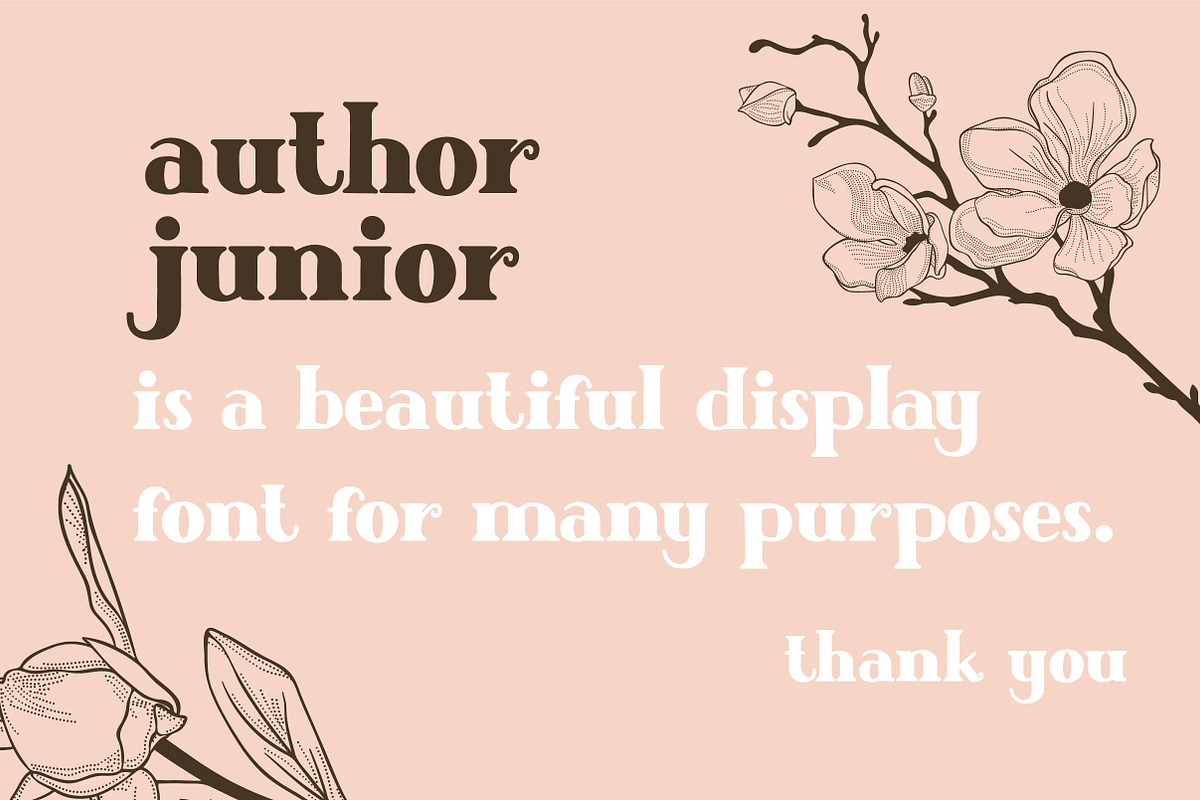Author Junior preview 8