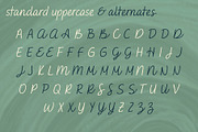 Saveria Handwritten Script Font, a Font by Evoke Type Studio (Thumbnail 12 of 15)