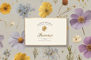 Pressed Flowers (Png) HELLO SPRING, a Background Graphic by by creative paper (Thumbnail 10 of 13)