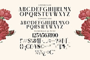 Gravhez Stylish Display Font, a Sans Serif Font by Storytype Studio (Thumbnail 14 of 15)