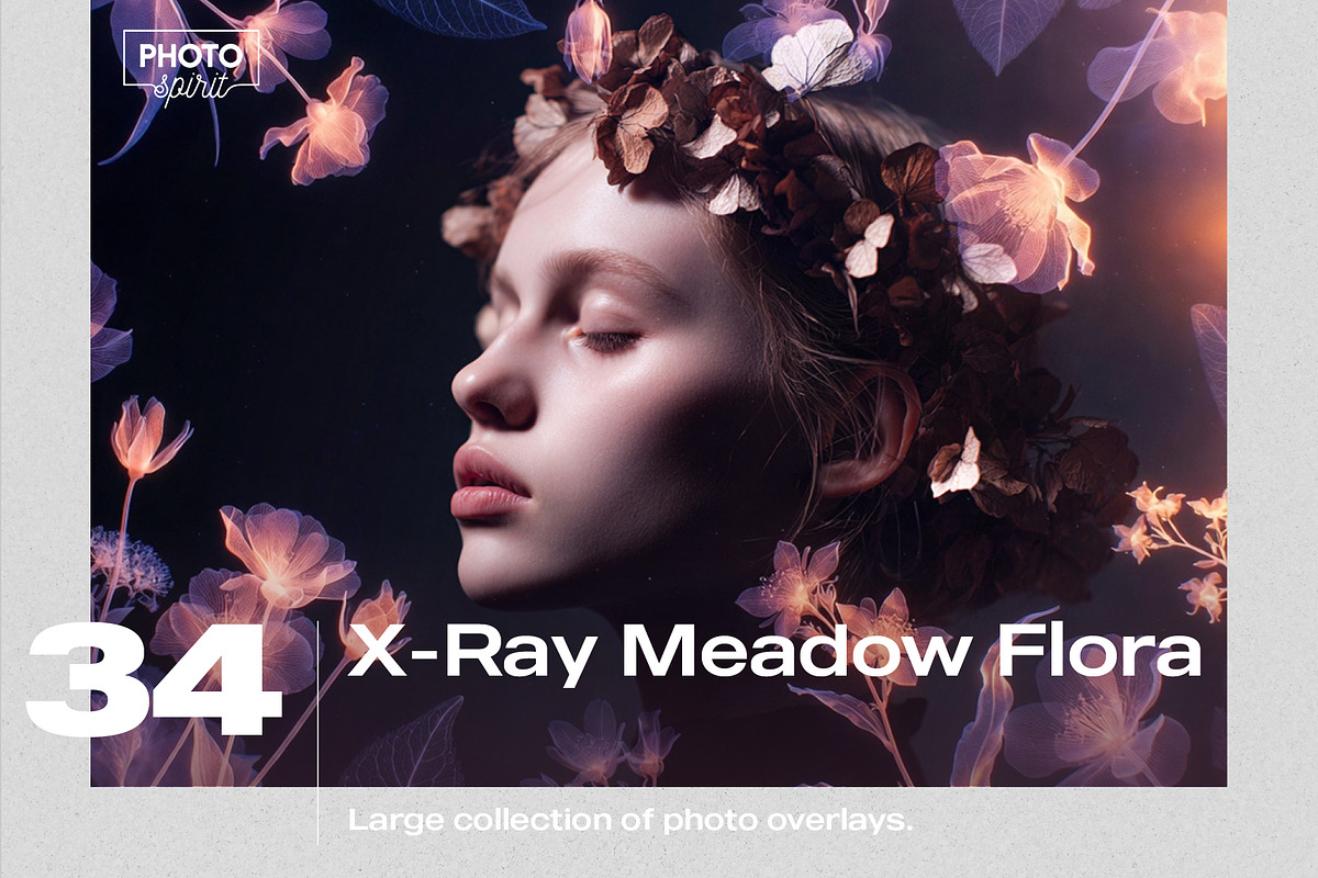 X-Ray Meadow Flora Overlays, a Texture Graphic by PhotoSpirit (Photo 1 of 8)