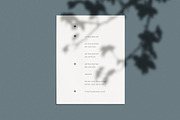 Musea Stationery Mock-Up Kit, a Print Template by Eugene Tantsurin (Thumbnail 4 of 13)