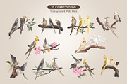 Cockatiel Birds Watercolor, an Animal Illustration by CreativeValuation (Thumbnail 2 of 15)