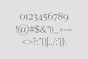 Cammron Serif Font Family, a Serif Font by Creativetacos (Thumbnail 4 of 8)