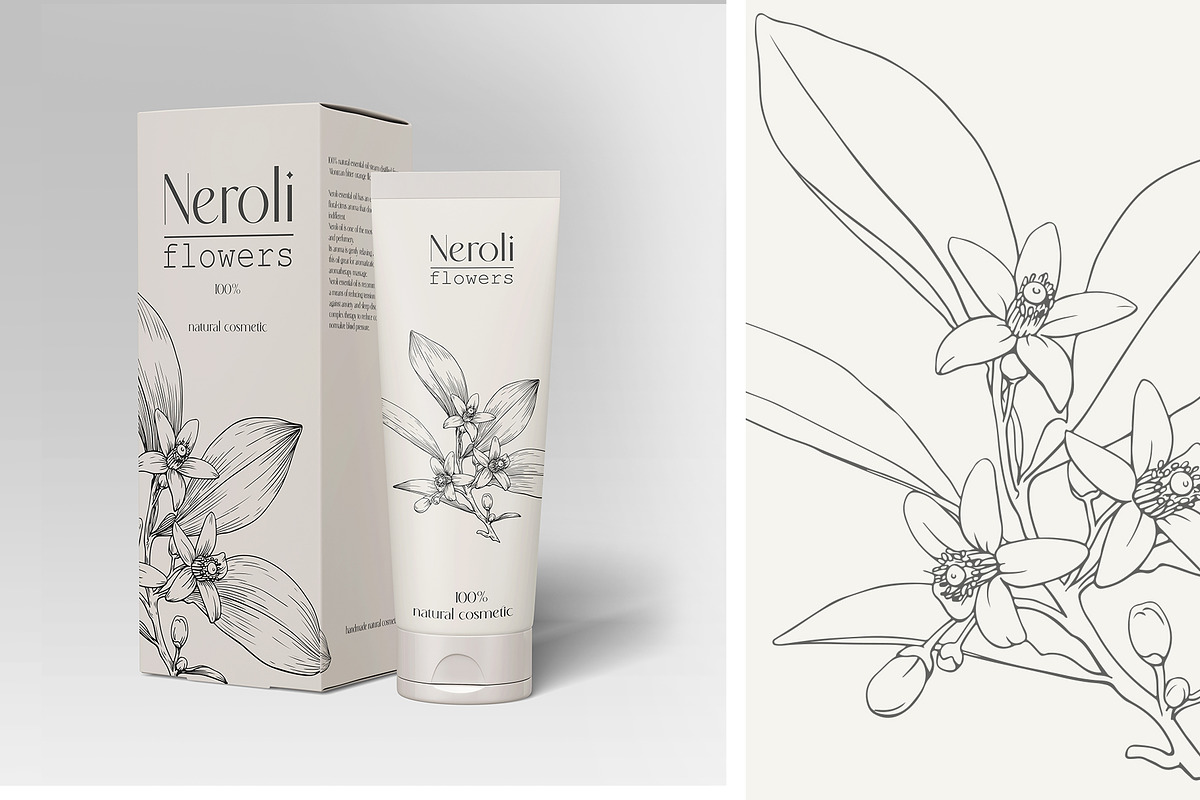 Flowers Neroli. Vector Botanical set, an Object Graphic by ON_lineart_store (Photo 2 of 10)