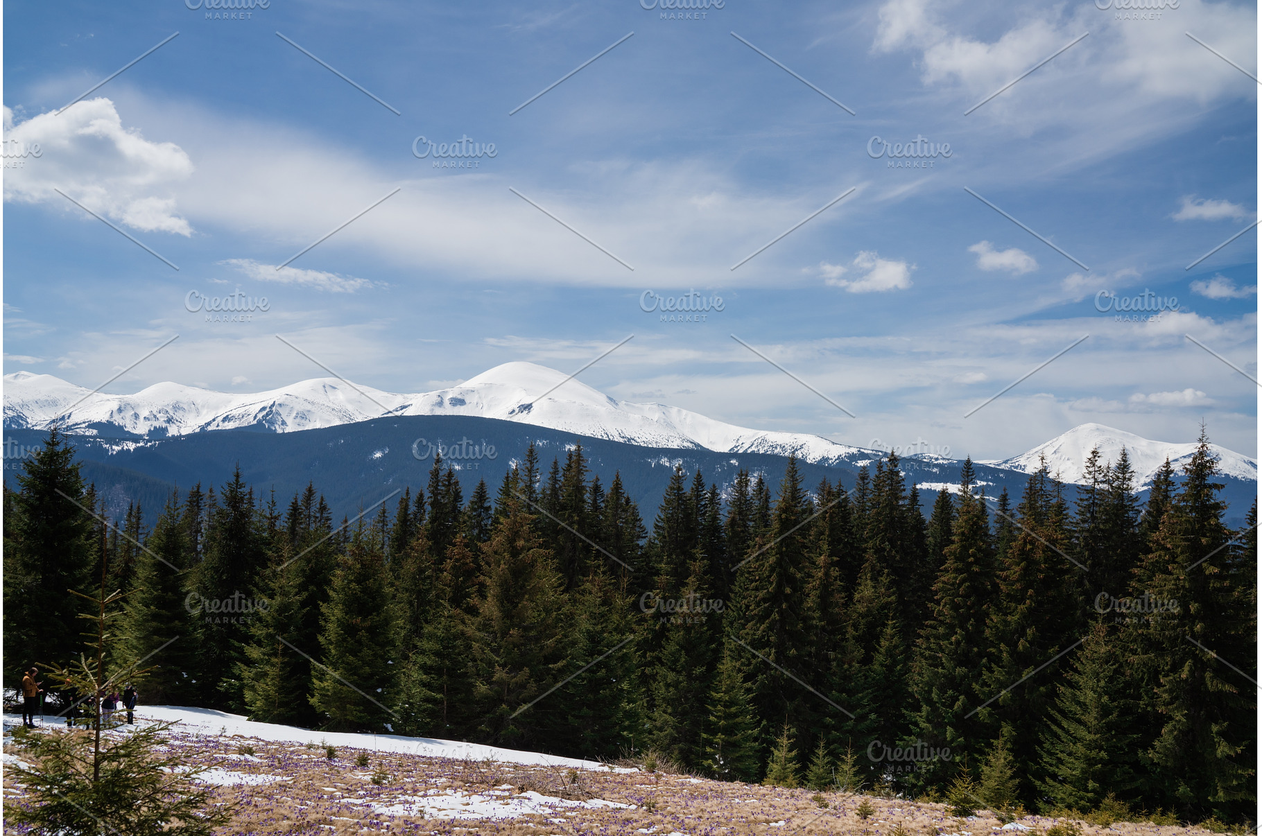 Beautiful spring landscape with snow, a Nature Photo by oksix