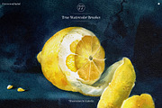 True Watercolor Procreate Brushes, a Brush Add-On by Freezerondigital (Thumbnail 12 of 17)