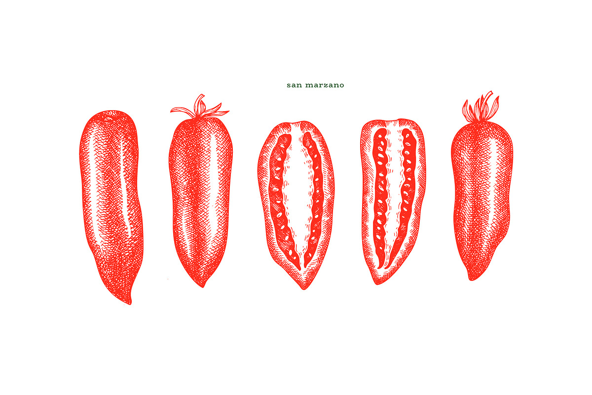 Tomato Farm Vector Collection, a Food Illustration by Lubov Illustrations Shop (Photo 10 of 13)