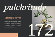 Slippery; Warm Serif, a Serif Font by Eko Bimantara (Thumbnail 9 of 11)