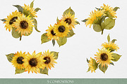 Sunflowers Watercolor Illustrations, an Object Graphic by Graphic Soul (Thumbnail 3 of 3)