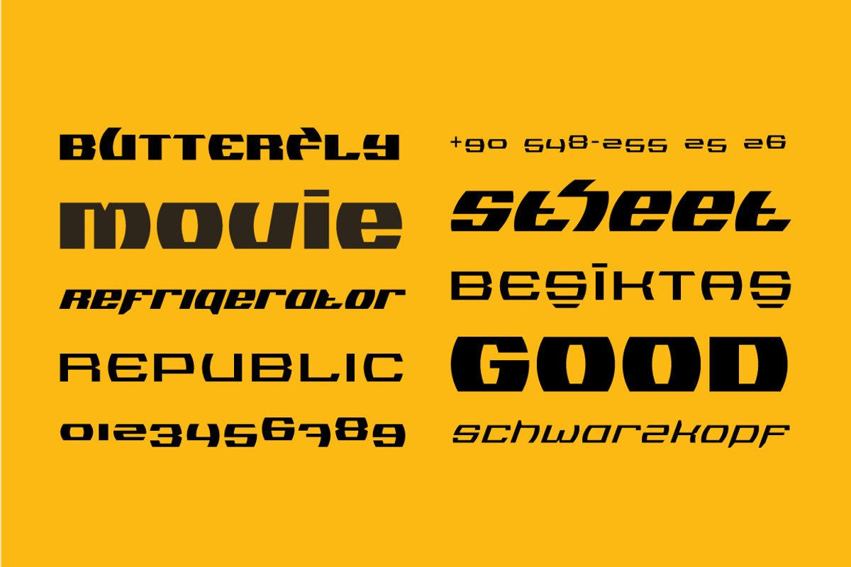 Logopedia Now, a Font by BULENT YUKSEL (Photo 9 of 11)